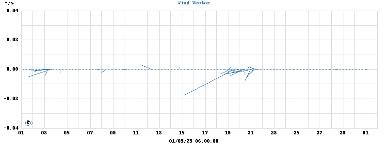 Wind Vector